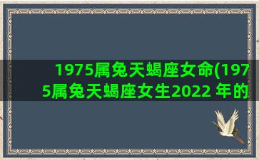 1975属兔天蝎座女命(1975属兔天蝎座女生2022 年的命运)